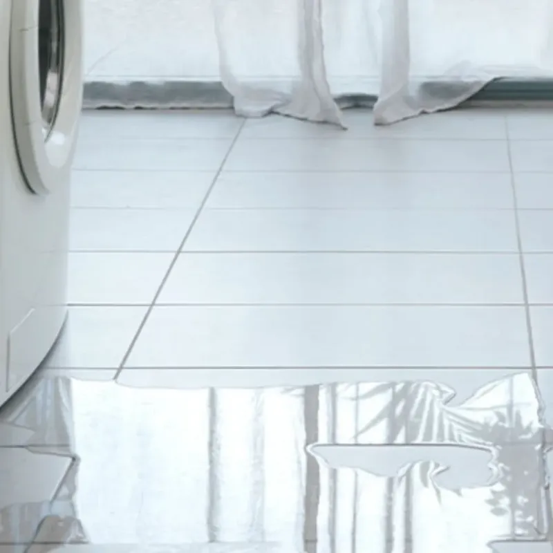 Appliance Leak Cleanup in Saint Joseph, MI