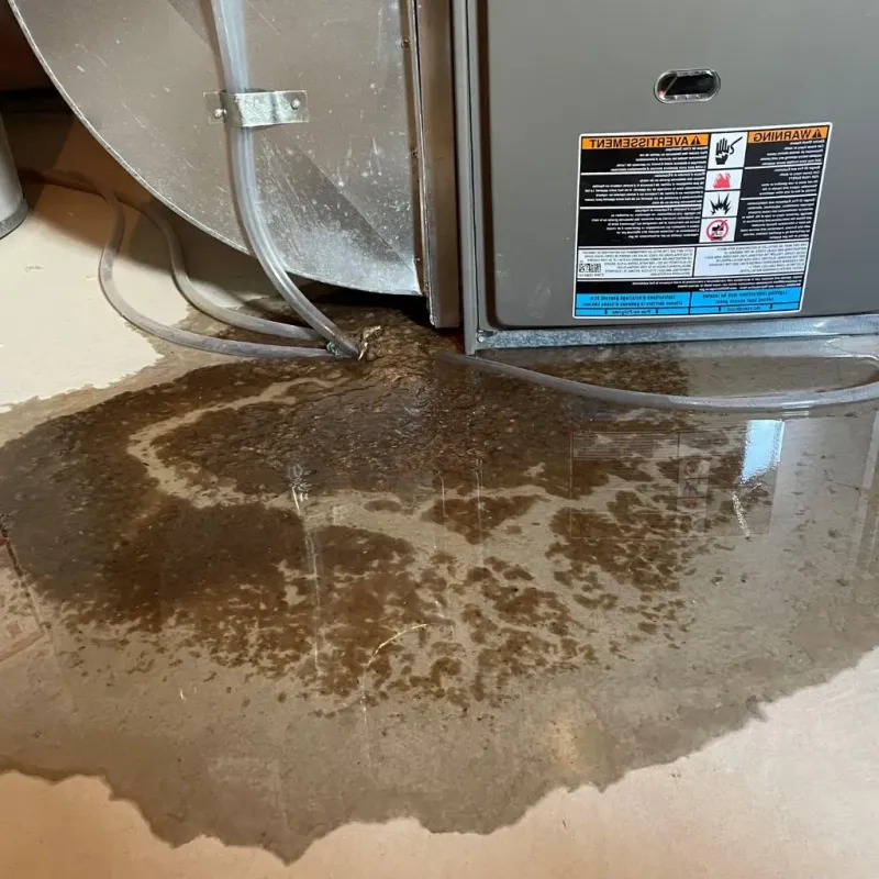 Pipe Burst and Leak Restoration in Saint Joseph, MI