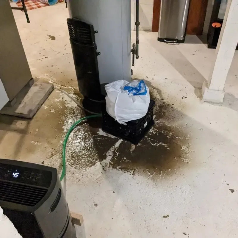 Sewage Backup Cleanup Service in Saint Joseph, MI